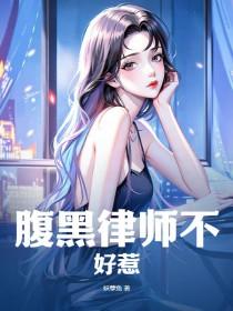腹黑律师娇妻太难追苏安