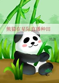 熊猫穿越星际文