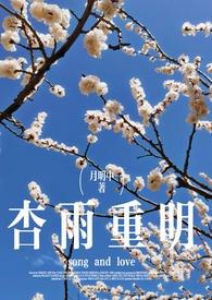 杏雨梨云什么意思哦