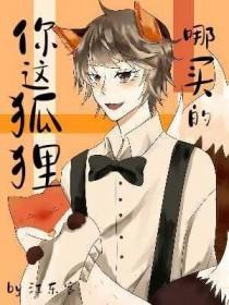 狐狸去哪儿买