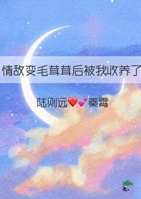 情敌变成了我的猫怎么办