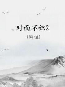 对面不识 百度