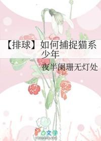 排球少年猫又教练