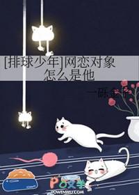 排球少年的cp