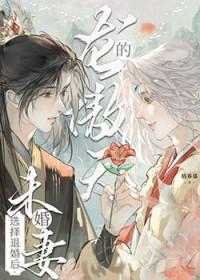龙傲天妻子