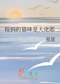 捡来的猫是大帅哥