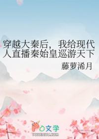 穿越到大秦遇到秦始皇的