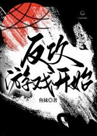 反攻过程