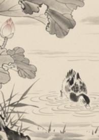 全京城都在等我掉马