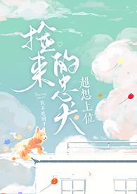 捡只忠犬来投喂全文免费阅读