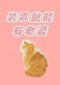 装乖就能有老婆免费阅读