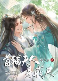 首辅夫人全文免费
