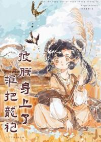 谁把龙袍披朕身上了(基建)百度