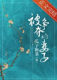 被争夺的妻子南玫笔趣阁