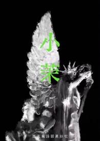 小茉(年代 强制)